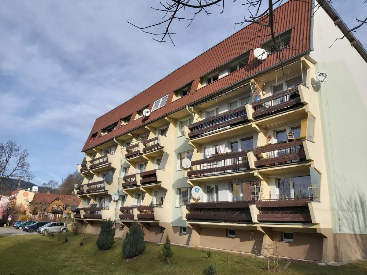 Apartmán Viola Sklářská Poruba Exteriér fotografie