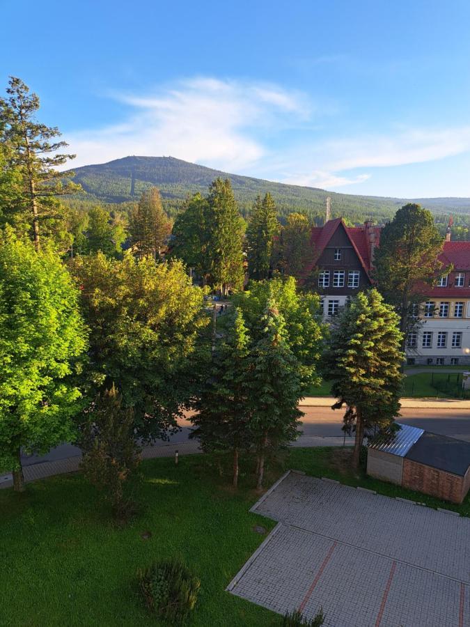 Apartmán Viola Sklářská Poruba Exteriér fotografie