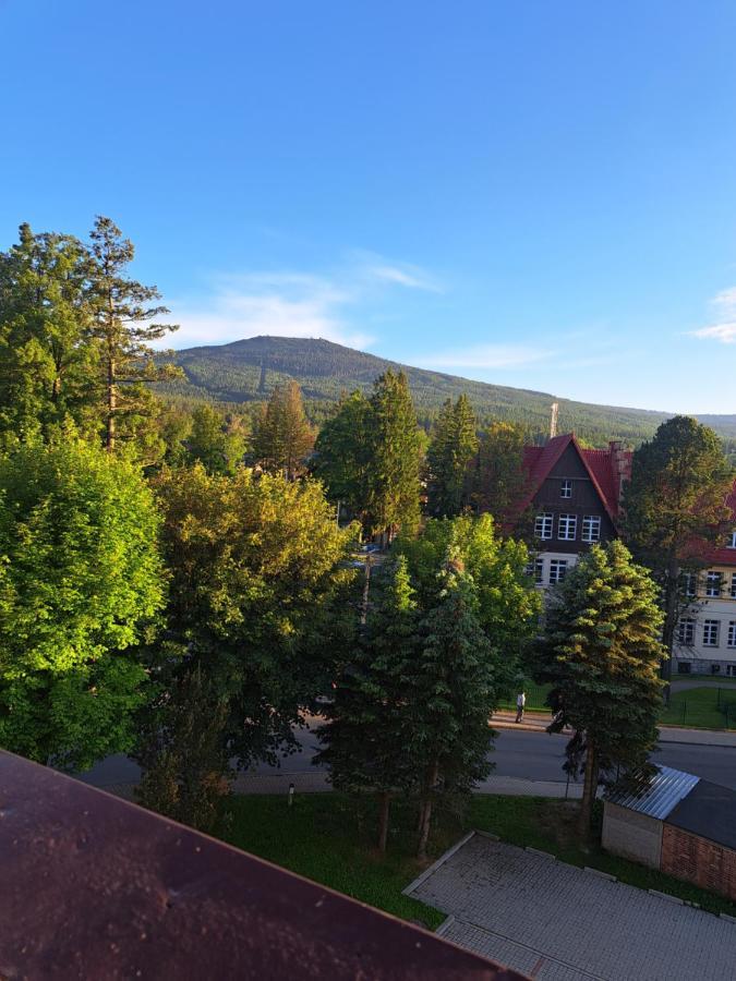 Apartmán Viola Sklářská Poruba Exteriér fotografie