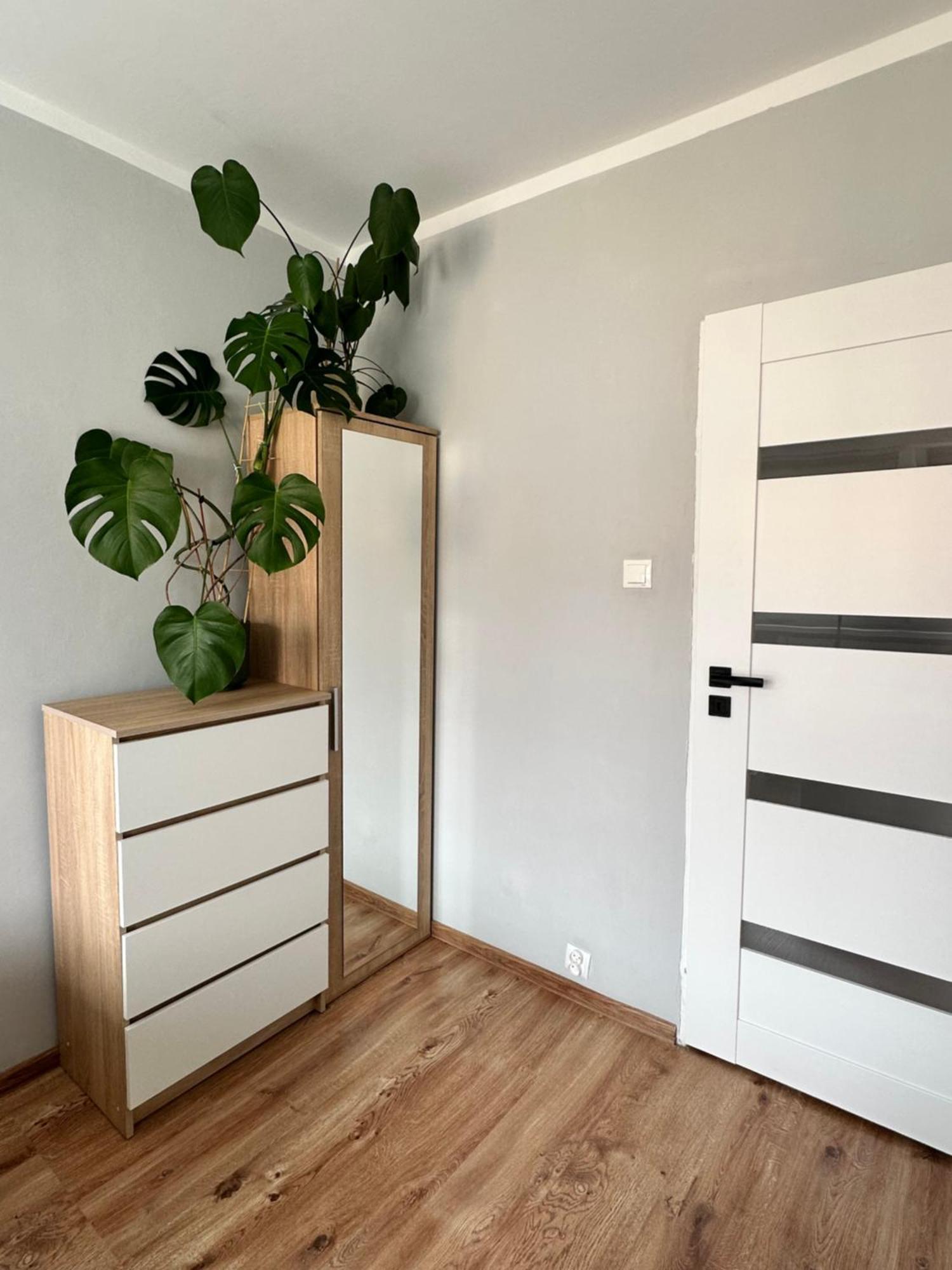 Apartmán Viola Sklářská Poruba Exteriér fotografie